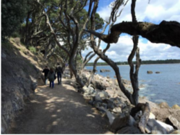 Mount Maunganui Base Track (Mount Maunganui).