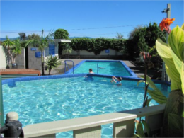 Omokoroa Thermal Holiday Park