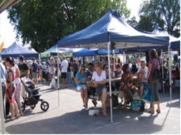 Tauranga Farmers Market.